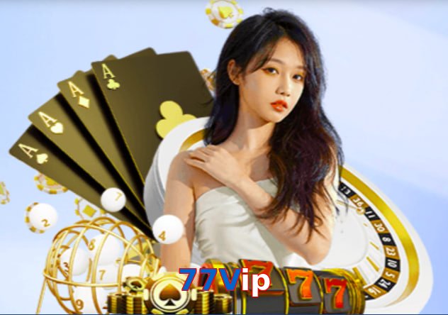 77Vip interface sample